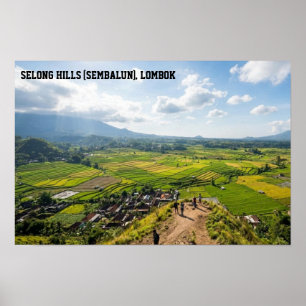 Affiche Art des rizières de Selong Hill Sembalun Lombok