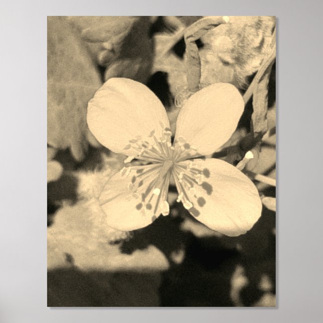 AFFICHE ART ET DESIGN EN IMPRESSION À LA FEUILLE D (Recto)