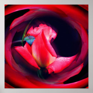 Affiche Art floral abstrait Bouquet de rosebud rose