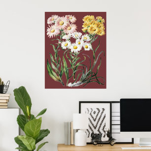 Affiche Art floral botanique de fleurs sauvages colorées v