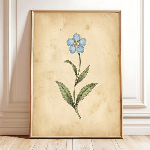 Affiche Art floral vintage Ne m'oubliez pas