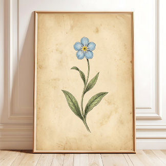 Affiche Art floral vintage Ne m'oubliez pas