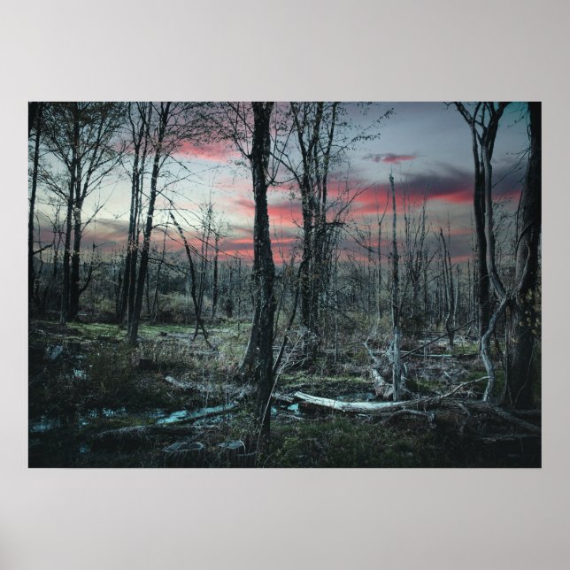 Affiche Art gothique Marais forestier sombre (Devant)