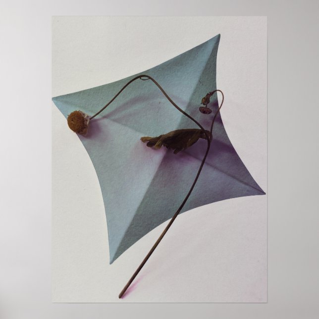 Affiche Art japonais (Devant)