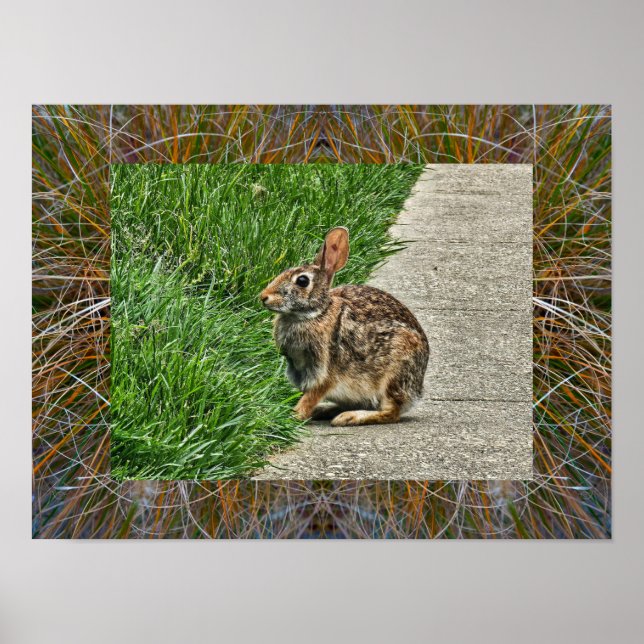 Affiche Art lapin (Devant)