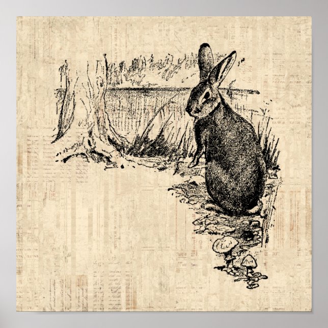 Affiche Art lapin vintage illustré (Devant)