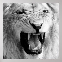 Art Lion noir et blanc