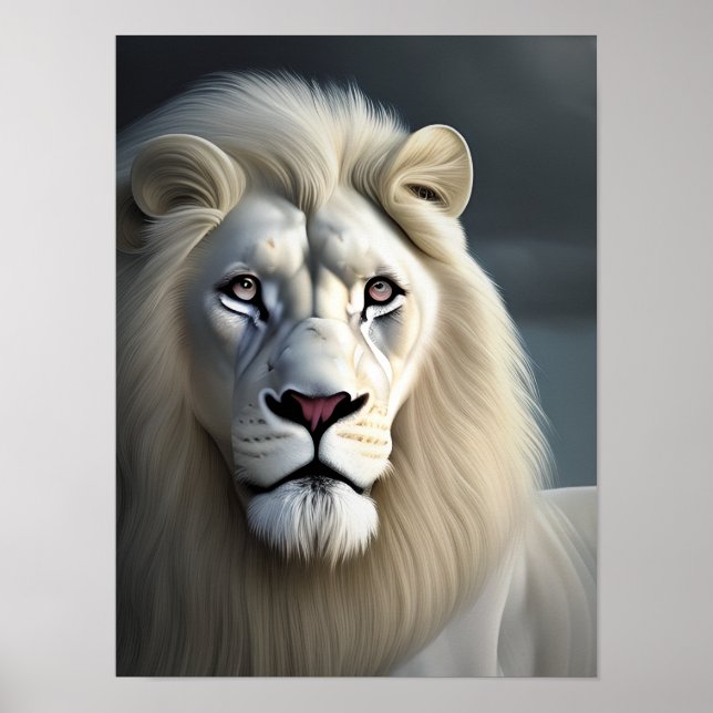Affiche Art majestueux Lion blanc (Devant)