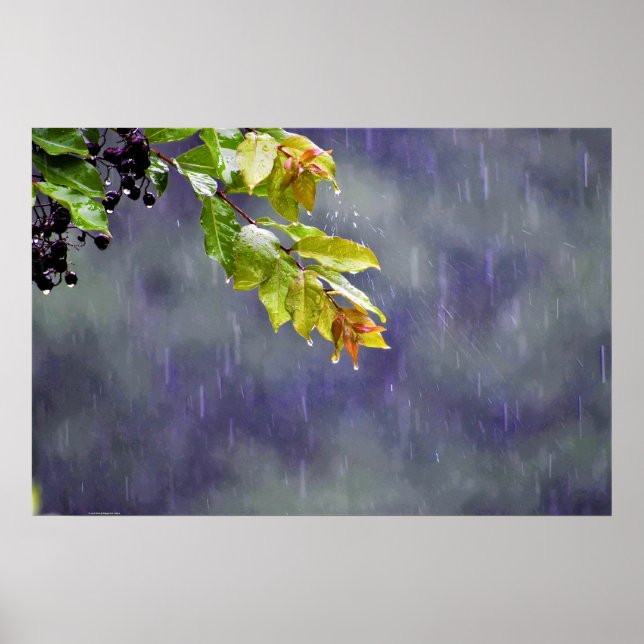 Affiche Art mur (Devant)