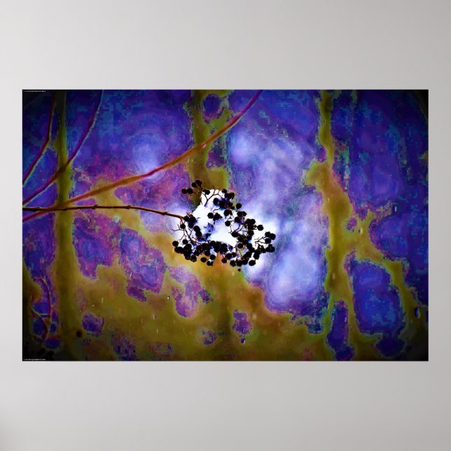 Affiche Art mur (Devant)