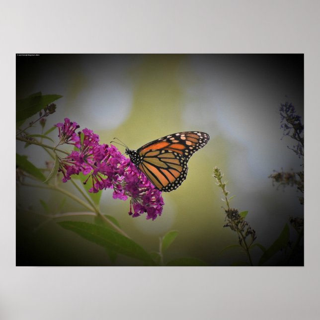 Affiche Art mur (Devant)