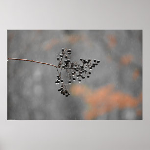 Affiche Art mur