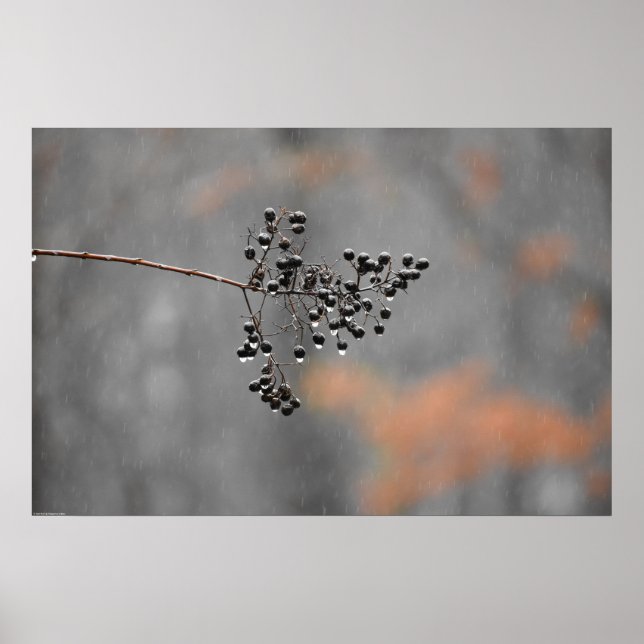 Affiche Art mur (Devant)