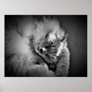 Affiche Art mur