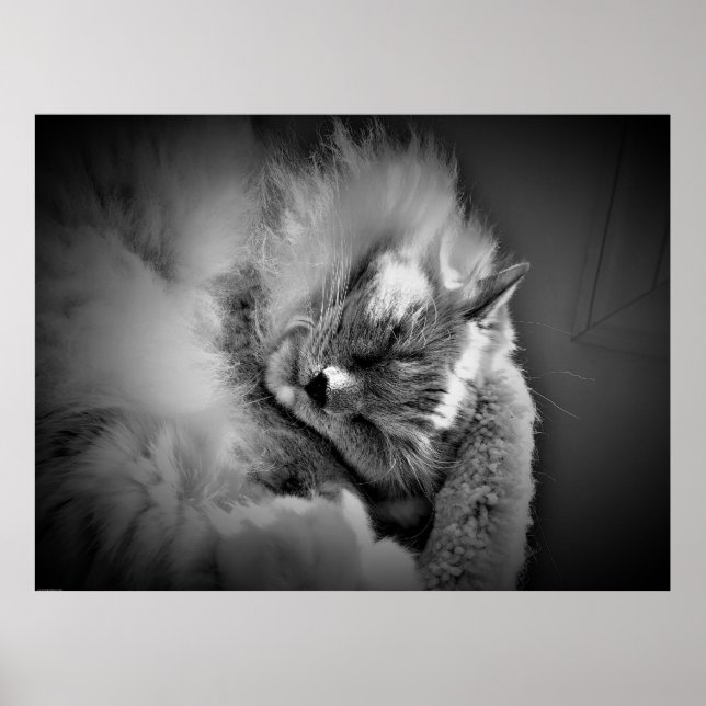 Affiche Art mur (Devant)