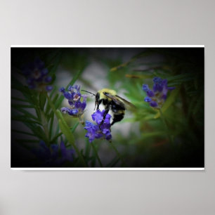 Affiche Art mur