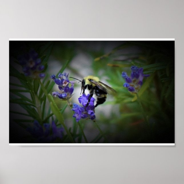 Affiche Art mur (Devant)