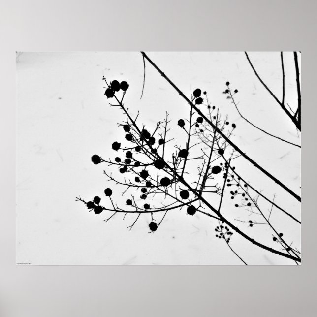 Affiche Art mur (Devant)