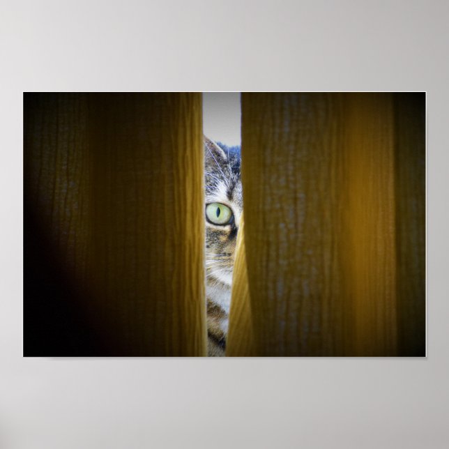 Affiche Art mur (Devant)