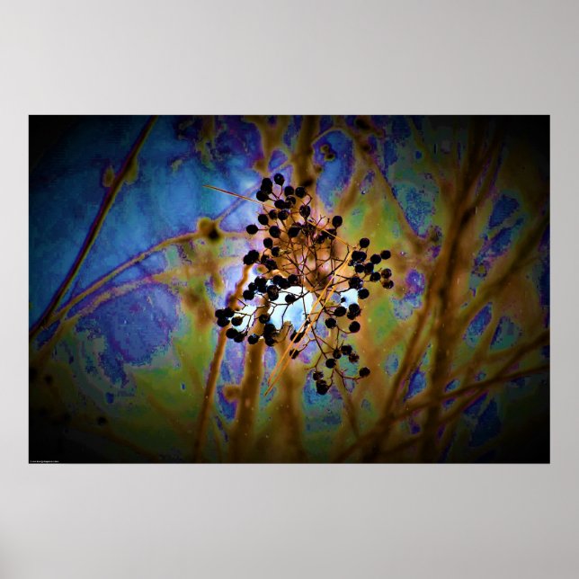 Affiche Art mur (Devant)