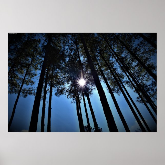 Affiche Art mur (Devant)