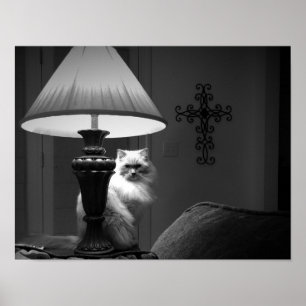 Affiche Art mur