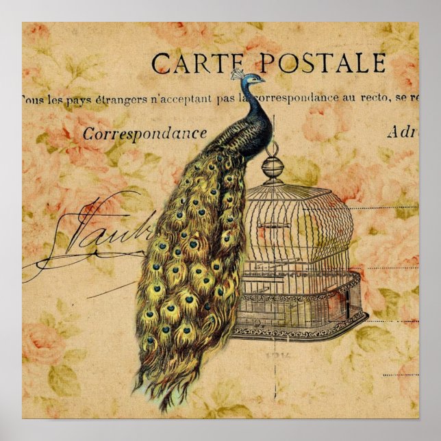 Affiche art nouveau botanique vintage paon (Devant)