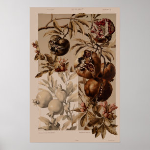 Affiche Art Nouveau vintage Grenade par Anton Seder