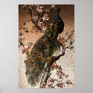 Affiche Art Nouveau vintage paon sur arbre en fleurs