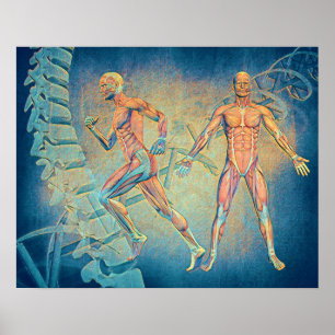 Affiche Art numérique anatomique