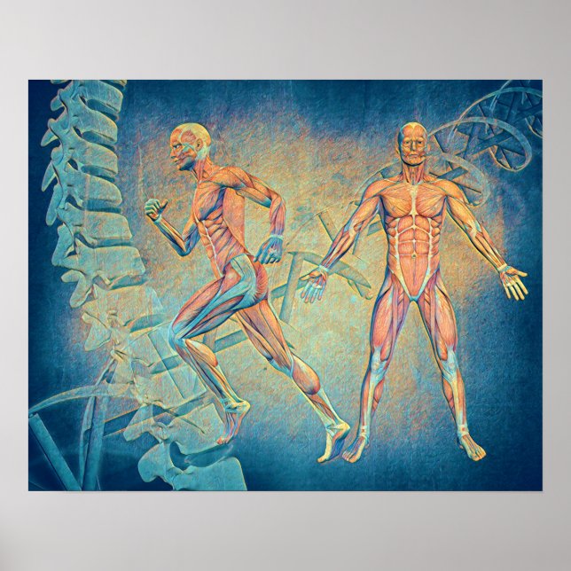 Affiche Art numérique anatomique (Devant)