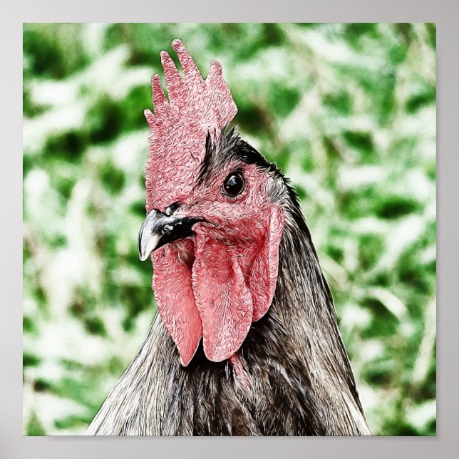 Affiche Art numérique Blue Rooster (Devant)