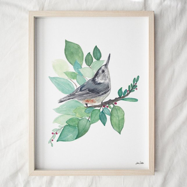 Affiche Art Nuthatch à poitrine blanche Imprimer (Créateur téléchargé)