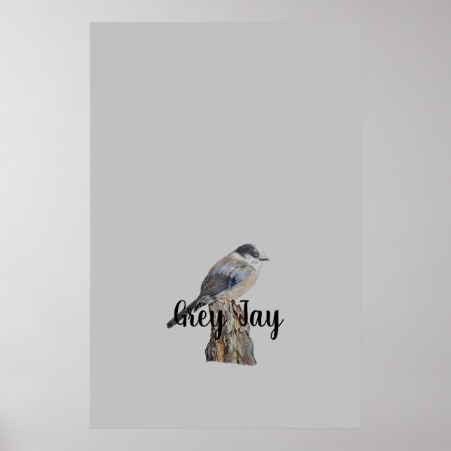 Affiche Art original Grey Jay ou Whiskey Jack Bird (Devant)