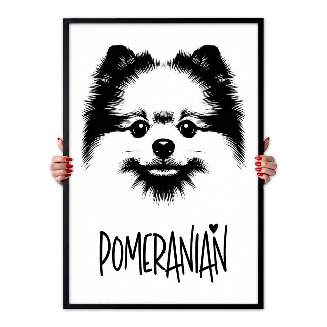 Affiche Art Pop Poméranien Noir & Blanc Chic Esthétique (Pomeranian Pop Art Black & White Chic Aesthetic Poster)