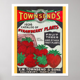 Affiche ART Recyclé : CATALOGUE DES SEMENCES 1936