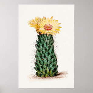 Affiche Art Sketch Cactus Fleur Jaune