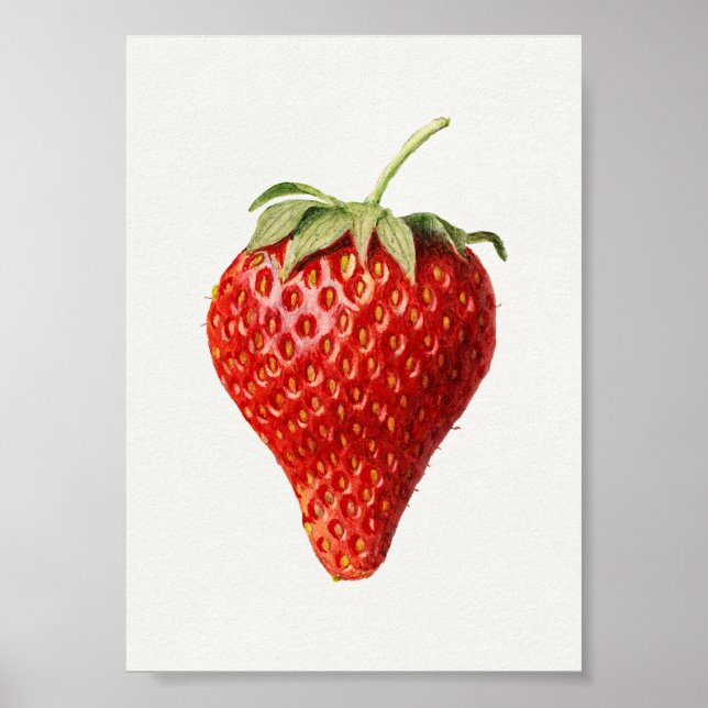 Affiche Art Vintage aux fraises (Devant)