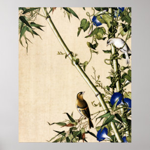Affiche Art vintage bambou et volubilis bleu matin