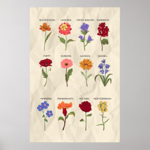 Affiche Art vintage botanique floral