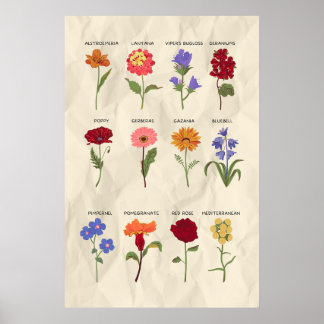 Affiche Art vintage botanique floral