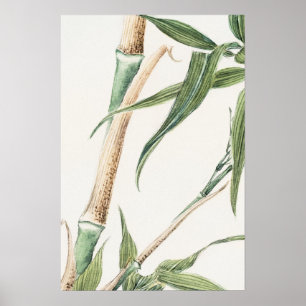 Affiche Art Vintage feuille de bambou