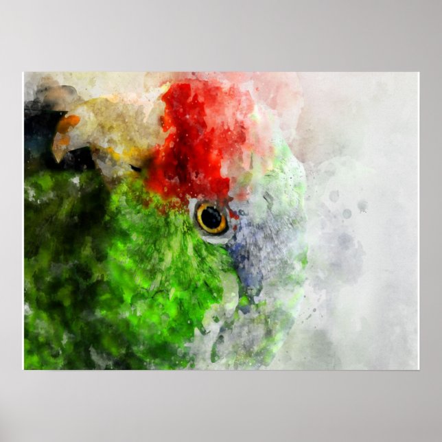 Affiche Art Watercolor Parrot Green Parakeet Cadeau (Devant)