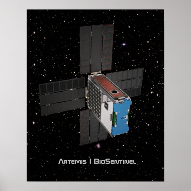 Affiche Artemis BioSentinel CubeSat (Devant)