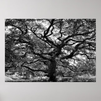 Affiche Artère principale