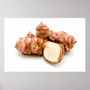 Affiche Artichaut de Jérusalem