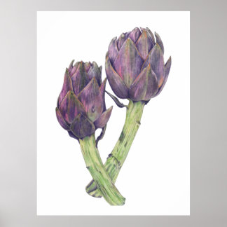 Affiche Artichauts violets Imprimer