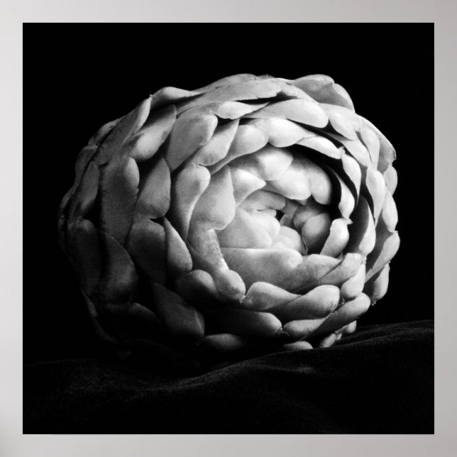 Affiche Artichoke Close Up Photographie noir et blanc (Devant)