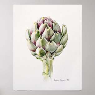 Affiche Artichoke Study 1993