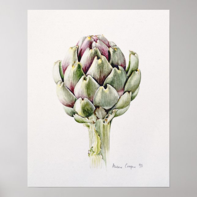 Affiche Artichoke Study 1993 (Devant)
